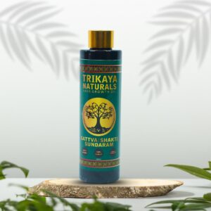 sattva | shakti sundaram